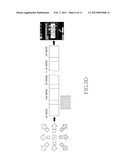 METHOD FOR PHOTOGRAPHING PANORAMIC PICTURE diagram and image