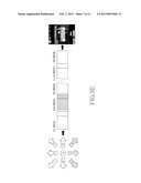 METHOD FOR PHOTOGRAPHING PANORAMIC PICTURE diagram and image