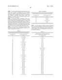 ANTIBODIES TO IL-6 AND USE THEREOF diagram and image