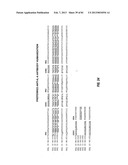 ANTIBODIES TO IL-6 AND USE THEREOF diagram and image