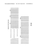 ANTIBODIES TO IL-6 AND USE THEREOF diagram and image