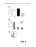 METHODS FOR INDUCING IN VIVO TOLERANCE diagram and image