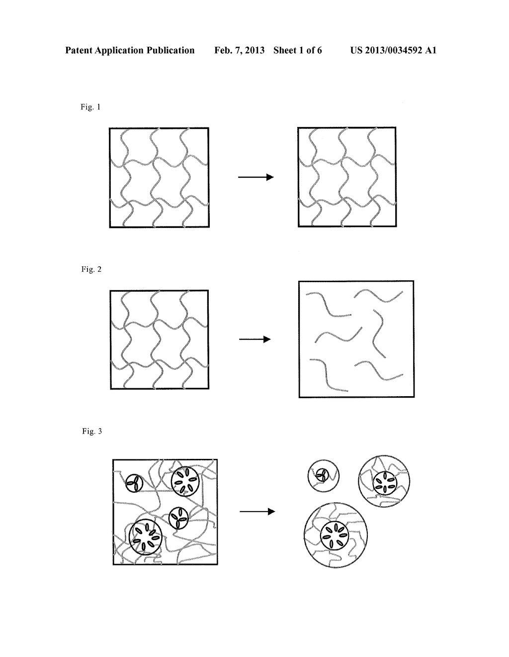 HYDROGEL - diagram, schematic, and image 02