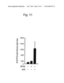 ADJUVANT CONTAINING beta-HEMATIN diagram and image