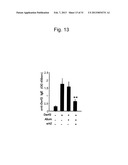 ADJUVANT CONTAINING beta-HEMATIN diagram and image