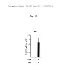 ADJUVANT CONTAINING beta-HEMATIN diagram and image