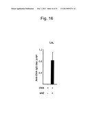 ADJUVANT CONTAINING beta-HEMATIN diagram and image