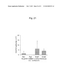 ADJUVANT CONTAINING beta-HEMATIN diagram and image