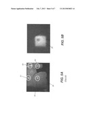 ADAPTIVE ILLUMINATION METHOD AND APPARATUS FOR DENTAL SHADE MATCHING diagram and image