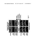 Molecular Determinants Associated with Enhanced Ability to Enter Cells     Expressing CXCR4 diagram and image