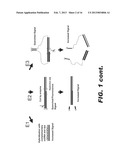 MOLECULAR BIOSENSORS CAPABLE OF SIGNAL AMPLIFICATION diagram and image