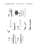 MOLECULAR BIOSENSORS CAPABLE OF SIGNAL AMPLIFICATION diagram and image