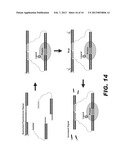 MOLECULAR BIOSENSORS CAPABLE OF SIGNAL AMPLIFICATION diagram and image