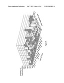 DETECTION OF METHYLATED DNA diagram and image