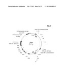 METHOD FOR THE SELECTION OF A LONG-TERM PRODUCING CELL diagram and image