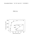 CENTRIFUGAL FORCE-BASED MICROFLUIDIC DEVICE FOR MULTIPLXED ANALYSIS AND     DETECTION METHOD USING THE  SAME diagram and image