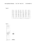 METHOD FOR THE EXTRACTION AND DETECTION OF FAT-SOLUBLE COMPONENTS FROM     BIOLOGICAL MATERIALS diagram and image