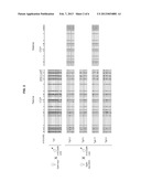 MOLECULES AND METHODS FOR DEMETHYLATION OF METHYLATED NUCLEIC ACID     SEQUENCES diagram and image