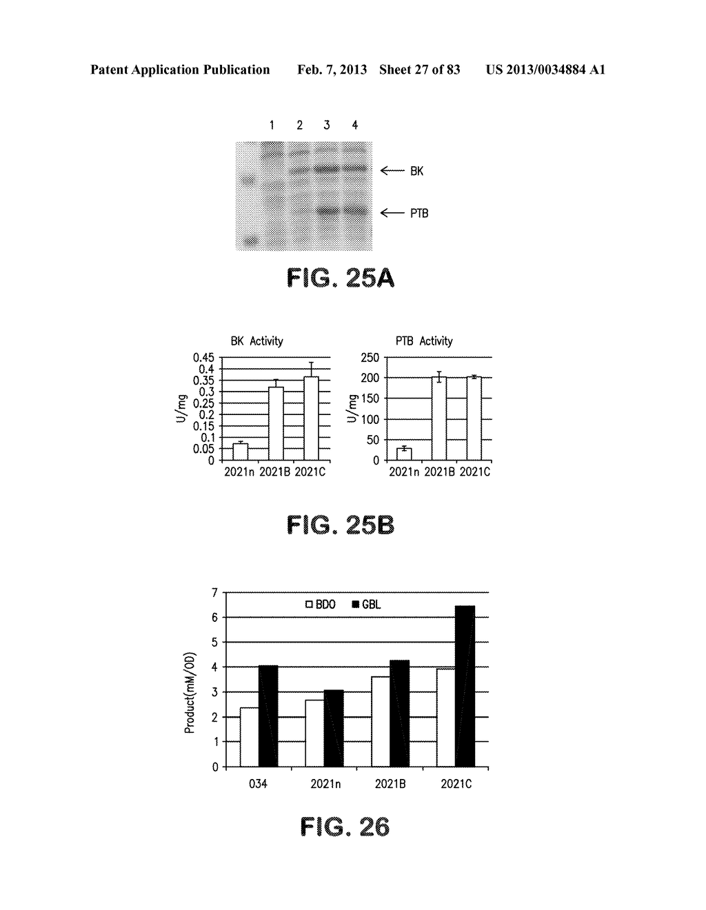 MICROORGANISMS FOR PRODUCING 1,4-BUTANEDIOL AND METHODS RELATED THERETO - diagram, schematic, and image 28