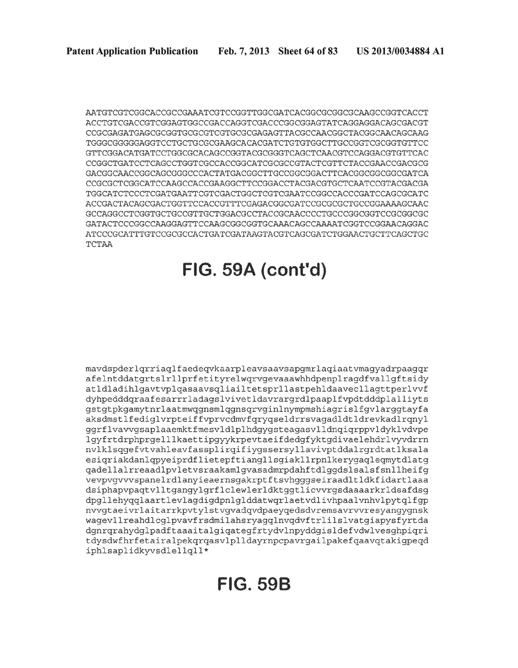 MICROORGANISMS FOR PRODUCING 1,4-BUTANEDIOL AND METHODS RELATED THERETO - diagram, schematic, and image 65