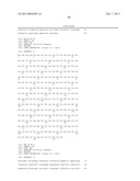 KETOREDUCTASE POLYPEPTIDES FOR THE PRODUCTION OF AZETIDINONE diagram and image