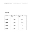 Use of a Proteolytic Enzyme for the Modification of the Cell Surface of a     Stem Cell diagram and image