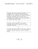 METHOD FOR CULTURING NEURAL CELLS USING CULTURE MEDIUM diagram and image