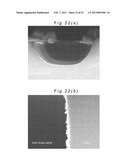 Plasma Etching Method diagram and image