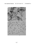 Compositions for Inhibiting Protine-Directed Protein Kinase Fa/Glycogen     Synthesis Kinase 3 Alpha and Use Thereof diagram and image