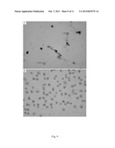 Compositions for Inhibiting Protine-Directed Protein Kinase Fa/Glycogen     Synthesis Kinase 3 Alpha and Use Thereof diagram and image