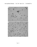 Compositions for Inhibiting Protine-Directed Protein Kinase Fa/Glycogen     Synthesis Kinase 3 Alpha and Use Thereof diagram and image