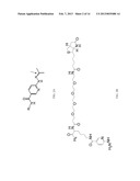 FUNCTIONALIZATION AND PURIFICATION OF MOLECULES BY REVERSIBLE GROUP     EXCHANGE diagram and image