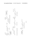 FUNCTIONALIZATION AND PURIFICATION OF MOLECULES BY REVERSIBLE GROUP     EXCHANGE diagram and image