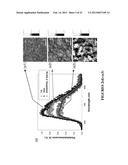 METHODS OF MAKING ORGANIC PHOTOVOLTAIC CELLS HAVING IMPROVED     HETEROJUNCTION MORPHOLOGY diagram and image