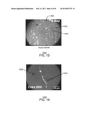 MEASUREMENT OF ISOTOPE RATIOS IN COMPLEX MATRICES diagram and image