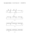 WAFER LEVEL CHIP SCALE PACKAGE WITH THICK BOTTOM METAL EXPOSED AND     PREPARATION METHOD THEREOF diagram and image