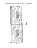 SYSTEMS AND METHODS TO CAPTURE A STEREOSCOPIC IMAGE PAIR diagram and image