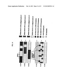 COMMUNICATION METHOD USING A CARRIER AGGREGATION AND APPARATUS THEREFORE diagram and image