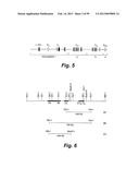 HETEROLOGOUS ANTIBODIES WHICH BIND HUMAN CD4 diagram and image