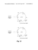 HETEROLOGOUS ANTIBODIES WHICH BIND HUMAN CD4 diagram and image