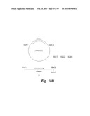 HETEROLOGOUS ANTIBODIES WHICH BIND HUMAN CD4 diagram and image