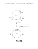 HETEROLOGOUS ANTIBODIES WHICH BIND HUMAN CD4 diagram and image