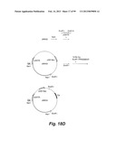 HETEROLOGOUS ANTIBODIES WHICH BIND HUMAN CD4 diagram and image