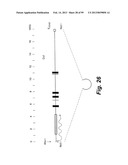 HETEROLOGOUS ANTIBODIES WHICH BIND HUMAN CD4 diagram and image