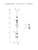 HETEROLOGOUS ANTIBODIES WHICH BIND HUMAN CD4 diagram and image