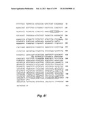 HETEROLOGOUS ANTIBODIES WHICH BIND HUMAN CD4 diagram and image