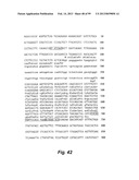 HETEROLOGOUS ANTIBODIES WHICH BIND HUMAN CD4 diagram and image