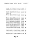 HETEROLOGOUS ANTIBODIES WHICH BIND HUMAN CD4 diagram and image