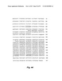 HETEROLOGOUS ANTIBODIES WHICH BIND HUMAN CD4 diagram and image