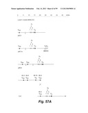 HETEROLOGOUS ANTIBODIES WHICH BIND HUMAN CD4 diagram and image